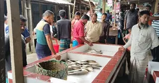 দুই মাসের নিষেধাজ্ঞা শেষে ভোলার নদীতে জেলেদের জাল